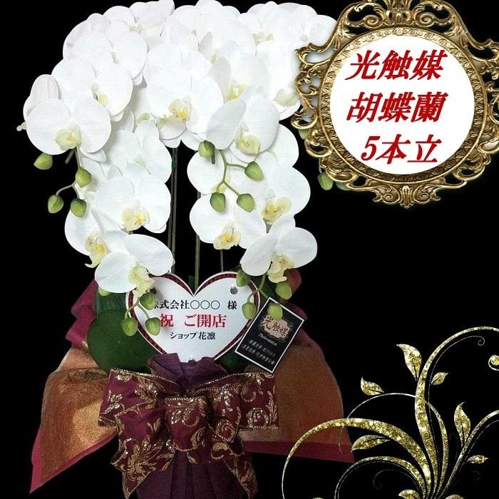 スモークツリー とアンティーク紫陽花のブルーなオーバルリース 矢車菊