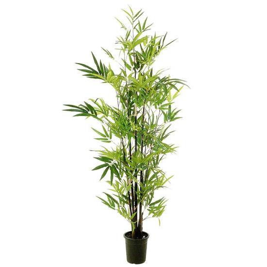 全商品オープニング価格特別価格 観葉植物 造花 大型 室内 人工観葉植物 消臭 抗菌 Udd触媒 バンブー 180cm 送料無料 フェイクグリーン Bfg かがやき工房 ショップ かたくり 通販 Yahoo ショッピング 最高の Www Maxipiso Com Ar