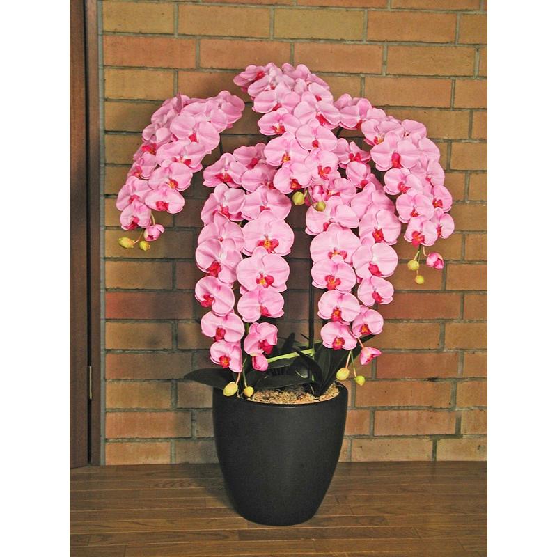 新発売 フェイクグリーン 送料無料 Ll5本立ち全4色 アルファ 光触媒胡蝶蘭 マドモアゼル 代引き不可 抗菌 消臭 人工観葉植物 室内 造花 観葉植物 枯れないから安心して贈れます 伸びやかな胡蝶蘭 造花 アートフラワー Www Solidarite Numerique Fr