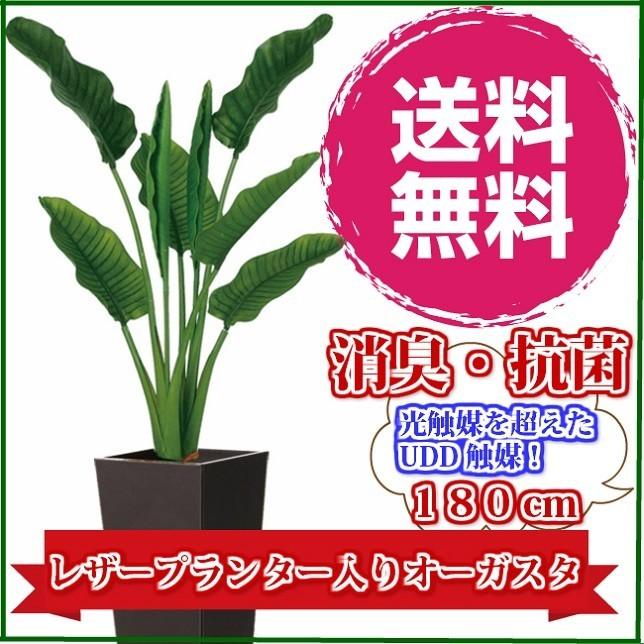 観葉植物 大型 造花 リビング 人工観葉植物 消臭 抗菌 レザープランター入り UDD触媒 オーガスタ 180cm 送料無料 ストレチア インテリア フェイク