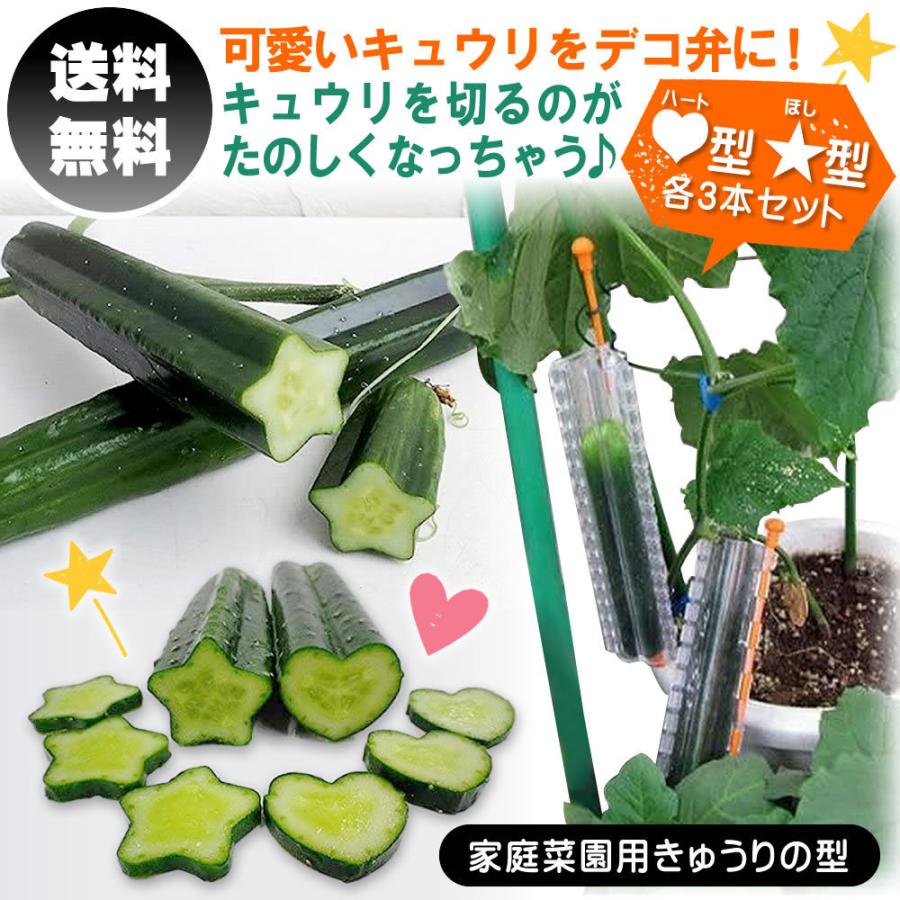 家庭菜園用きゅうりの型 デコきゅう ハート3本と星3本 Mt B06xksnzmr サニートレーディング ジャパン 通販 Yahoo ショッピング
