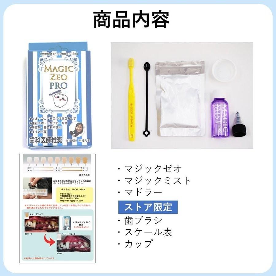 Outlet Sale 本日限定ポイント5倍 マジックゼオプロ 歯石取り ゼオライト 4点セット 40cc 送料無料 犬用 犬歯磨き 歯の黄ばみ 犬 歯磨き粉 Aynaelda Com