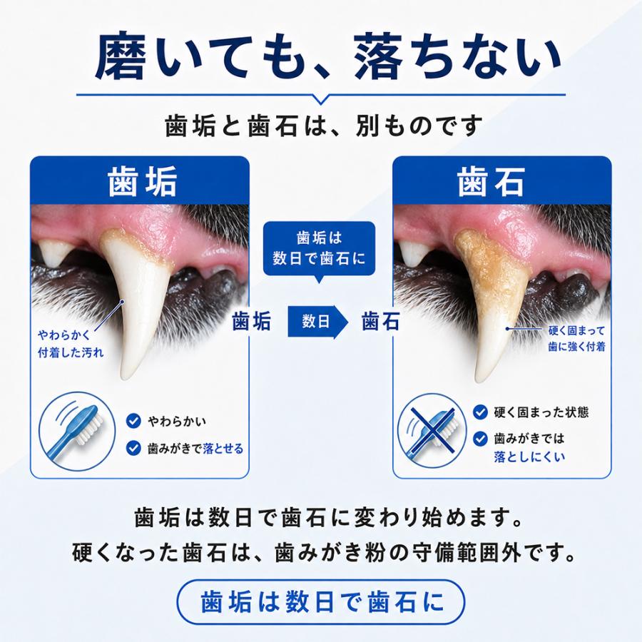 MAGIC ZEO 犬 歯磨き 犬歯ブラシ 歯石取り マジックゼオ プロ 4点