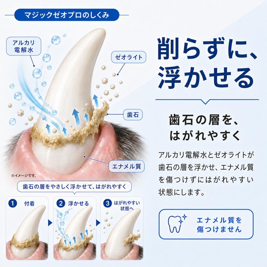 MAGIC ZEO 犬 歯磨き 犬歯ブラシ 歯石取り マジックゼオ プロ 4点