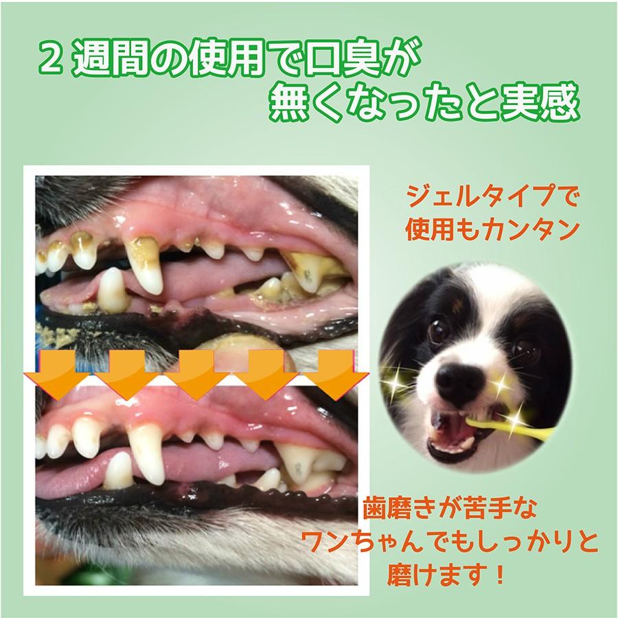 マジックゼオ デイリー 3点セット 40cc 犬用 犬歯磨き 歯の黄ばみ 犬 歯石取り ジェル ペット 口臭ケア｜shop-kg2｜02