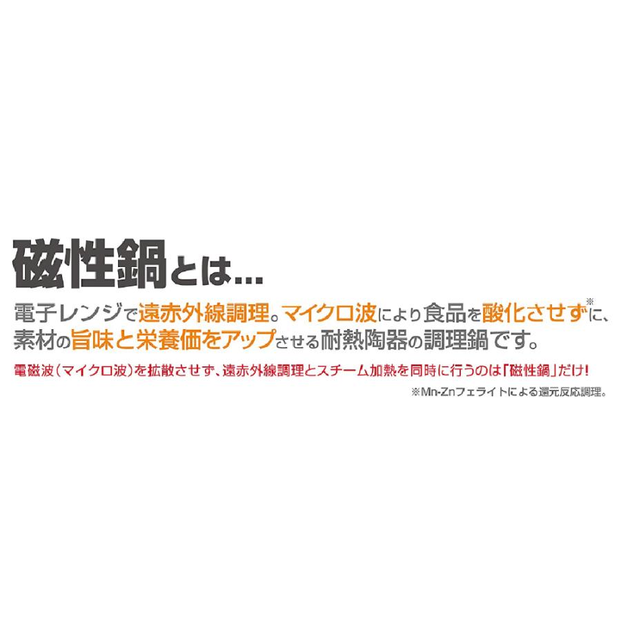磁性鍋 鍋 電子レンジ 電子レンジ専用調理器 両手鍋 Sサイズ 鍋セット