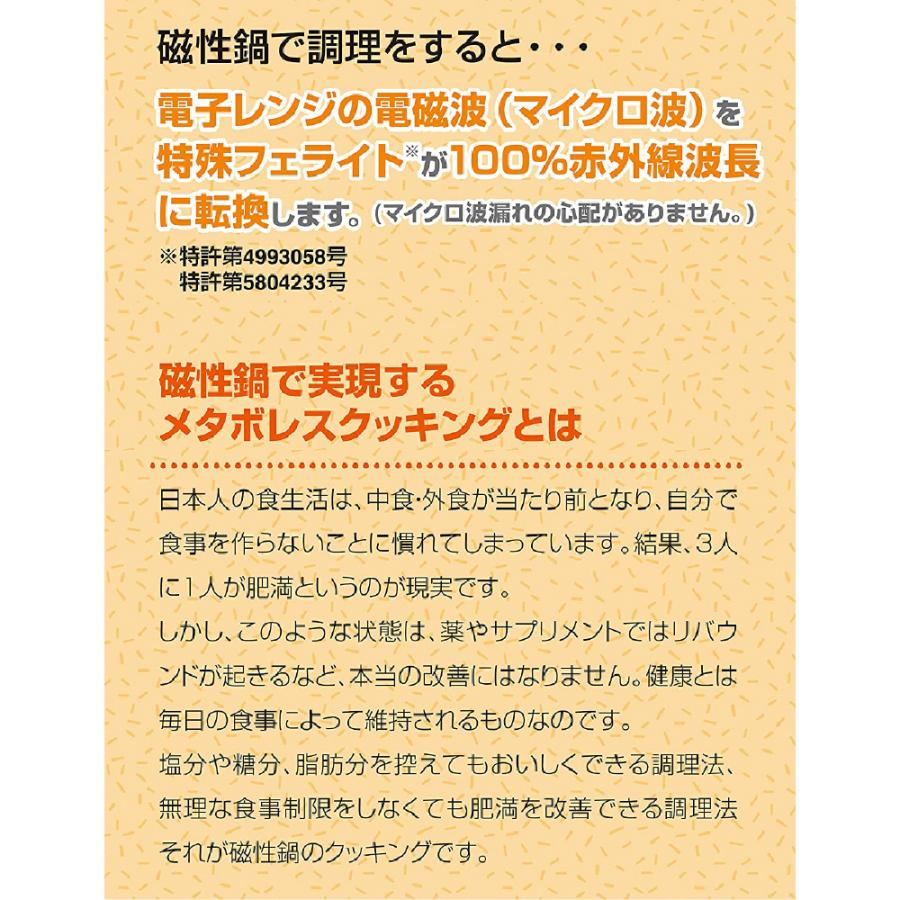 磁性鍋 鍋 電子レンジ 電子レンジ専用調理器 両手鍋 Sサイズ 鍋セット