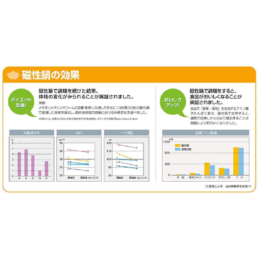 磁性鍋 鍋 電子レンジ 電子レンジ専用調理器 両手鍋 Sサイズ 鍋セット