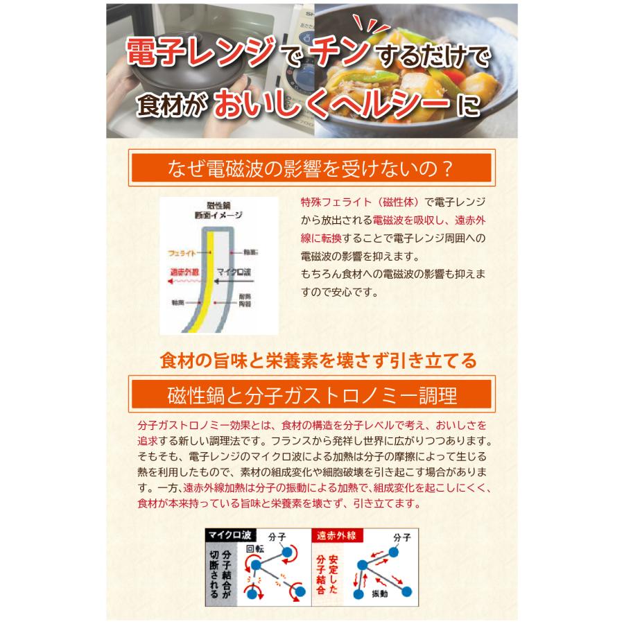 磁性鍋 鍋 電子レンジ 電子レンジ専用調理器 両手鍋 Lサイズ