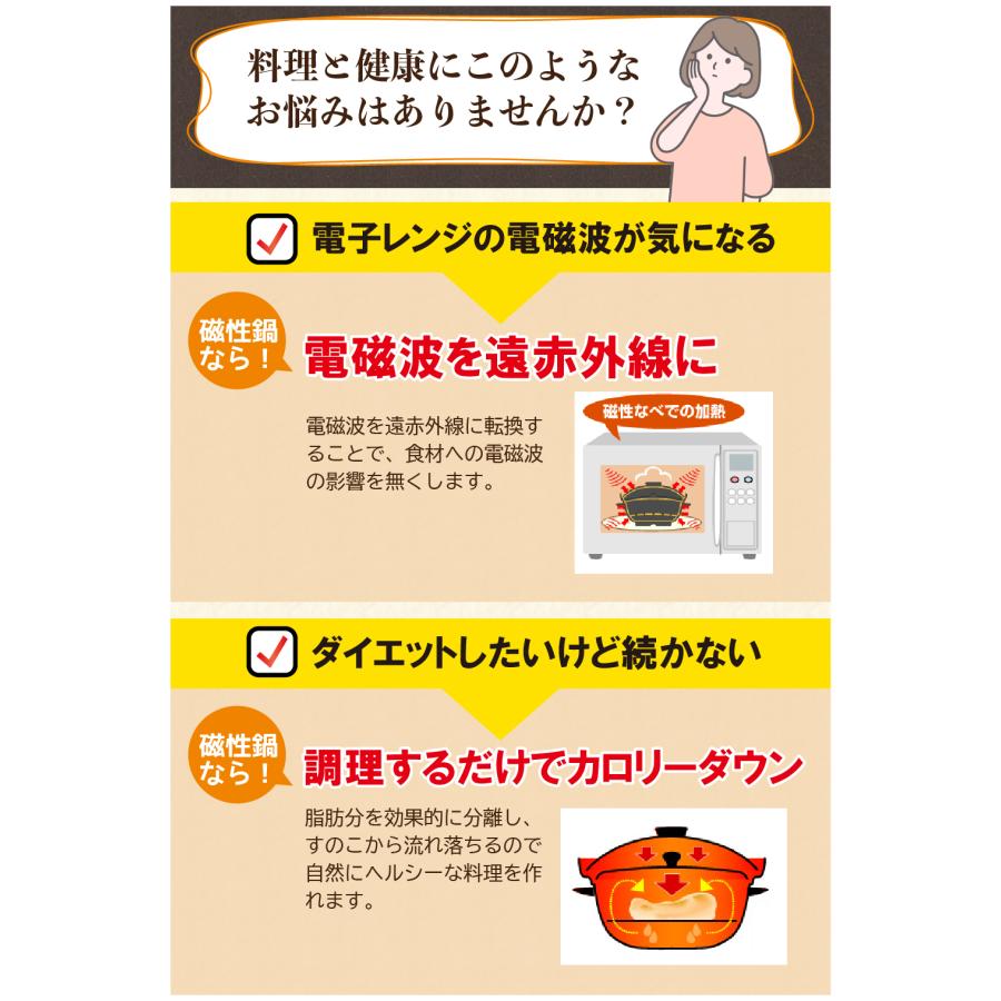 磁性鍋 鍋 電子レンジ 電子レンジ専用調理器 両手鍋 Lサイズ 磁性鍋 鍋 電子レンジ 電子レンジ専用調理器 両手鍋 Lサイズ
