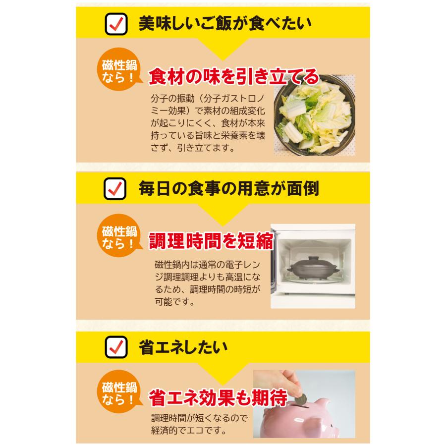 磁性鍋　両手鍋Lサイズ　４点セット（深鍋、浅鍋、ふた、スノコ） 調理器具　電磁波 磁性鍋 両手鍋Lサイズ｜電磁波対策｜雑貨・日用品｜健康通販