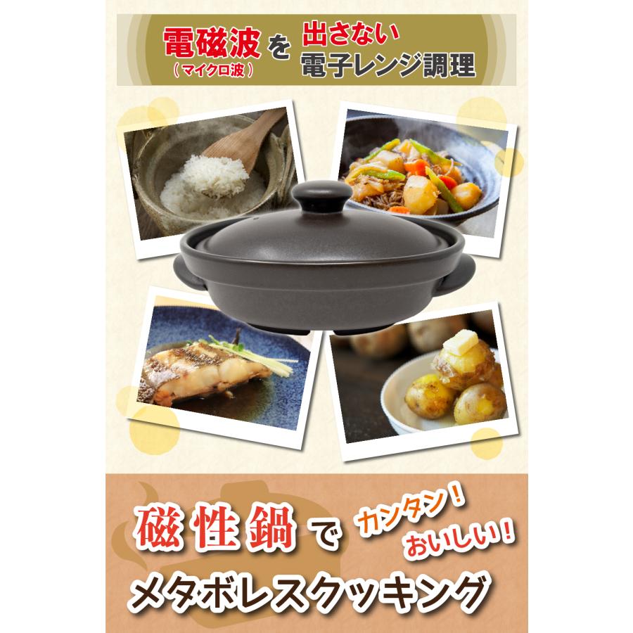 磁性鍋 鍋 電子レンジ 電子レンジ専用調理器 小判鍋 650cc 鍋 磁性鍋 鍋 電子レンジ 電子レンジ専用調理器 小判鍋 650cc 鍋