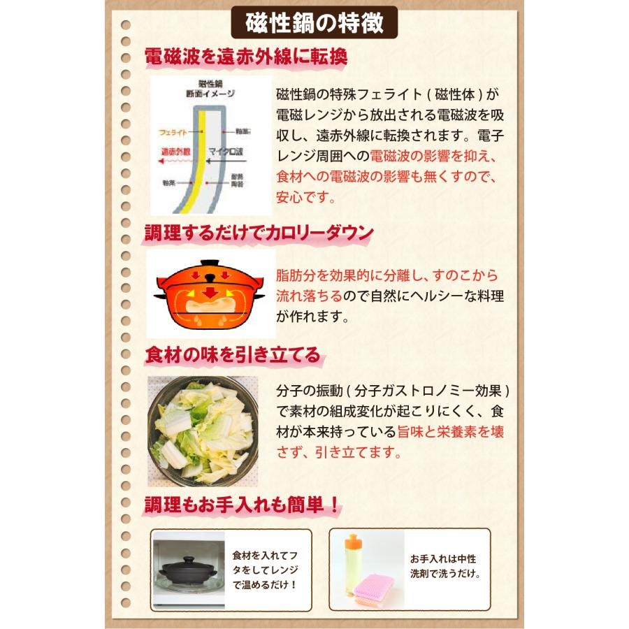 磁性鍋 鍋 電子レンジ 電子レンジ専用調理器 小判鍋 650cc 鍋 磁性鍋 鍋 電子レンジ 電子レンジ専用調理器 小判鍋 650cc 鍋