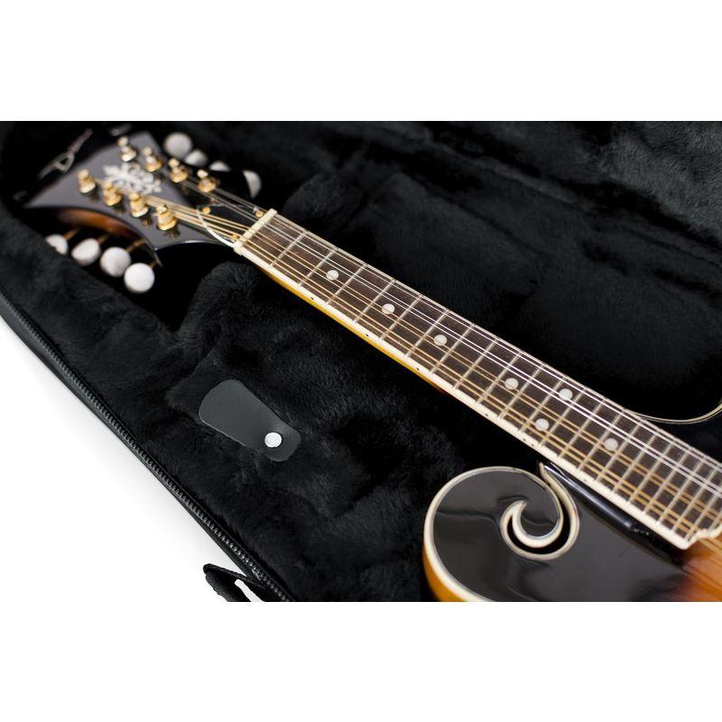 公式に取扱 GATOR ゲーター マンドリン用 軽量セミハードケース GL Guitar Series EPS製 GL-MANDOLIN 国内正規品