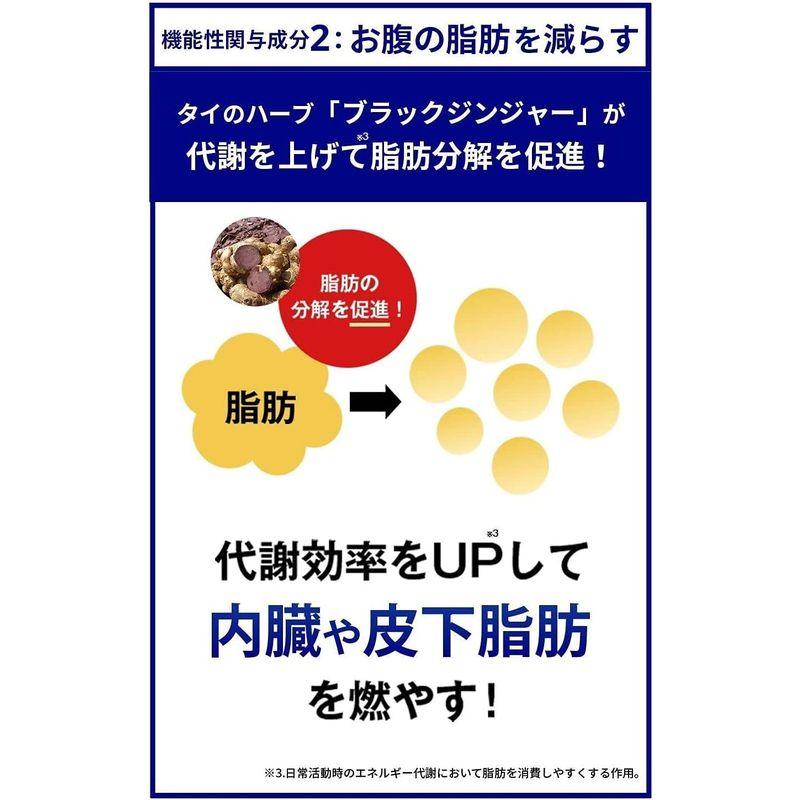 医師監修尿酸と脂肪のダブルバスター（約30日分）尿酸値と脂肪を下げる 日本製 ブラックジンジャー アンセリン 尿酸ケア 尿酸サポート 機能性｜shop-kt-four｜09