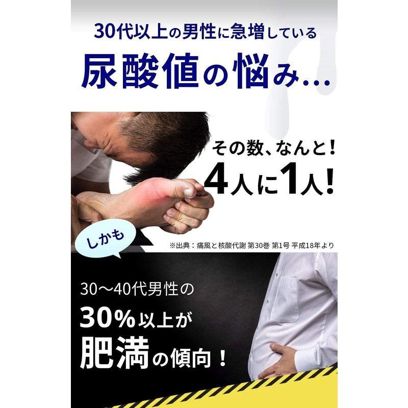 医師監修尿酸と脂肪のダブルバスター（約30日分）尿酸値と脂肪を下げる 日本製 ブラックジンジャー アンセリン 尿酸ケア 尿酸サポート 機能性｜shop-kt-four｜10