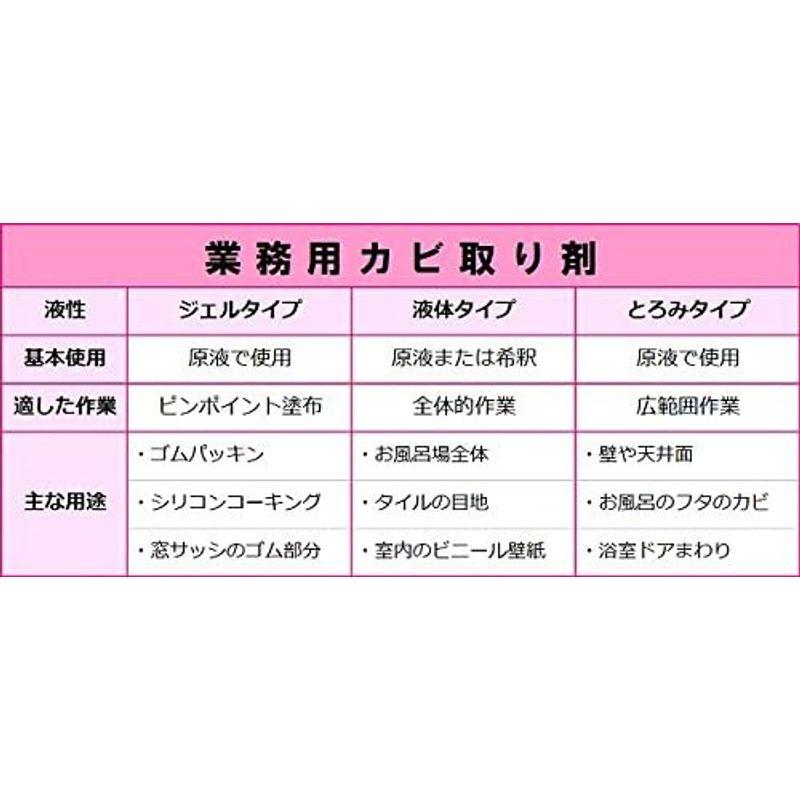 掃除用品 プロ用カビ取りジェル200g×3本 業務用カビ取り剤 カビ取り 高濃度ジェル 浴室 風呂 ゴムパッキン｜shop-kt-three｜10