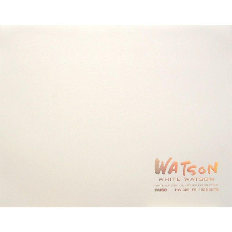 水彩紙 ホワイトミューズホワイトワトソンブロックF10 300ｇ15枚入りHW-310 F10｜shop-kt-three｜04