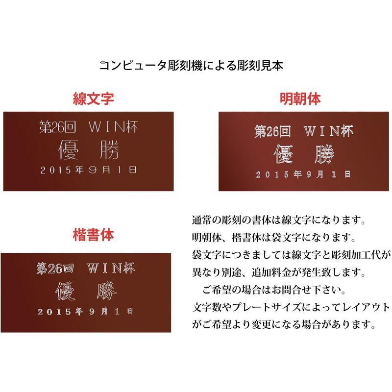 FujiPrize スタープレートボウリング金メダル XMC-70G｜shop-kt-three｜03