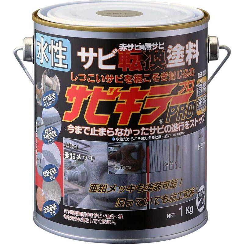 BAN-ZI　(バンジ)　サビキラープロ　黒サビ　1kg　シルバー　錆転換　赤サビ　DIY　水性　塗料