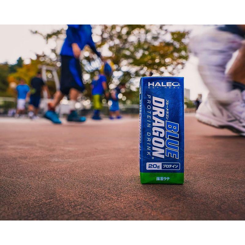 HALEO プロテインドリンク ブルードラゴン たんぱく質20g含有 200ml x 24パック ストロベリー味 プロテインドリンク ブルードラゴン たんぱく質20g含有 200ml 24パック ストロベリー味