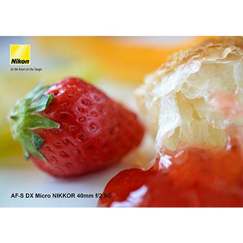 Nikon 単焦点マイクロレンズ AF-S DX Micro NIKKOR 40mm f/2.8G ニコンDXフォーマット専用｜shop-kukui｜05