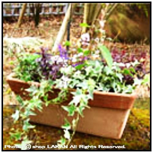 ウィンドウボックス スクラッチw40cm 横長プランター型人気テラコッタ製植木鉢 デローマ社 Dr4840 Dr4840 Shop ラカン 通販 Yahoo ショッピング