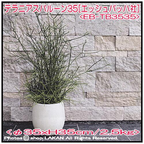 テラニアスバルーン　鉢カバー　卵型　送料込み テラニアスバルーン 鉢カバー 卵型 送料込み 楽天市場】【鉢