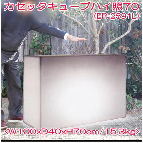 カセッタキューブハイ 照明付 H70cm ポリエチレン樹脂製 植木鉢 / ユーロ3社 ER-2591Lの画像