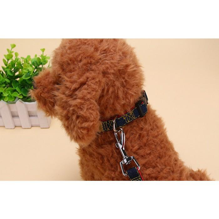 リードと首輪のセット デニム風生地 犬用 かっこいい おしゃれ ペット