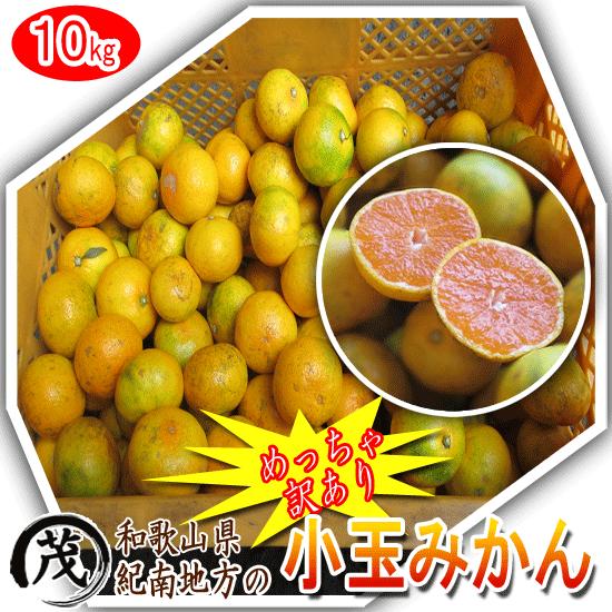 めっちゃ訳あり 極早生小玉みかん 10kg 箱込約10kg 9kg 保証分500g 約110 170個 送料無料 果物 和歌山 果物 温州 ミカン 蜜柑 Cq Minimikan10 紀州マルシゲ青果 Yahoo 店 通販 Yahoo ショッピング