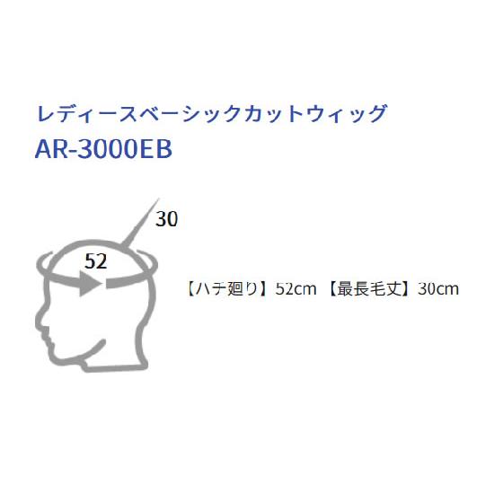 レディースベーシックカットウィッグ AR-3000EB レジーナ : MICK