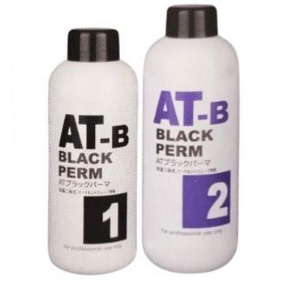 ファインコスメティクス ブラックアイロンパーマ AT-B 1液400ml・2液