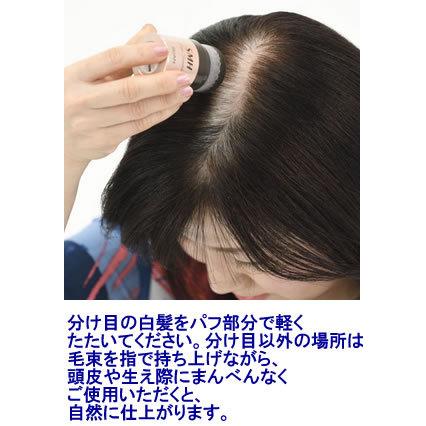 スーパーミリオンヘアー Smh ヘアファンデーション 12g Mick 通販 Yahoo ショッピング
