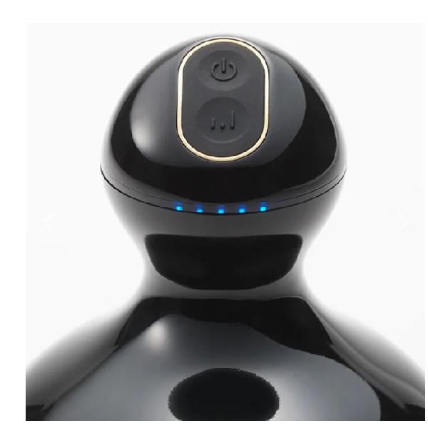 MYTREX（マイトレックス） MYTREX EMS HEAD SPA PRO 電気針ヘッドスパ
