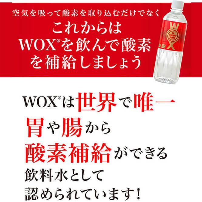酸素補給水WOX 500ml 24本入　公式メーカー直販｜shop-ms-espoir｜12