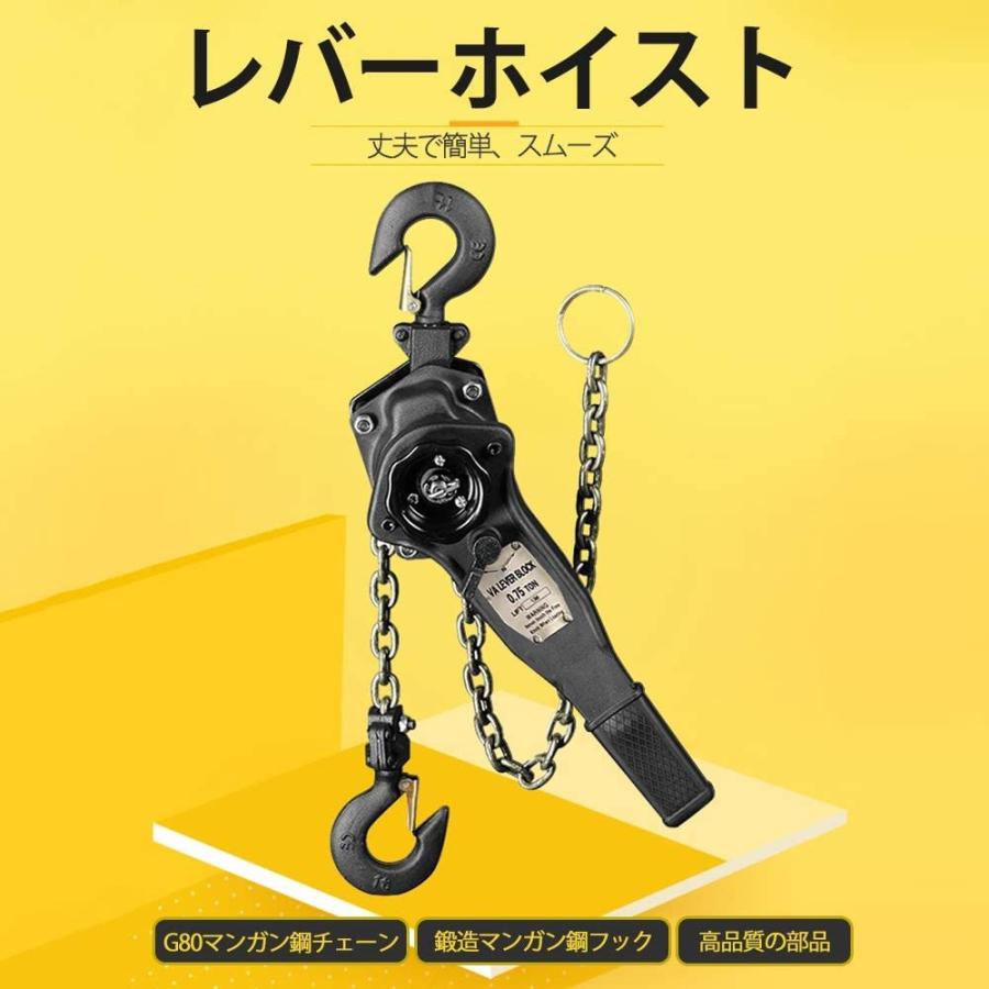 着後レビューで チェーンブロック 3m 2000kg 2t 2トン 手動式 荷締機