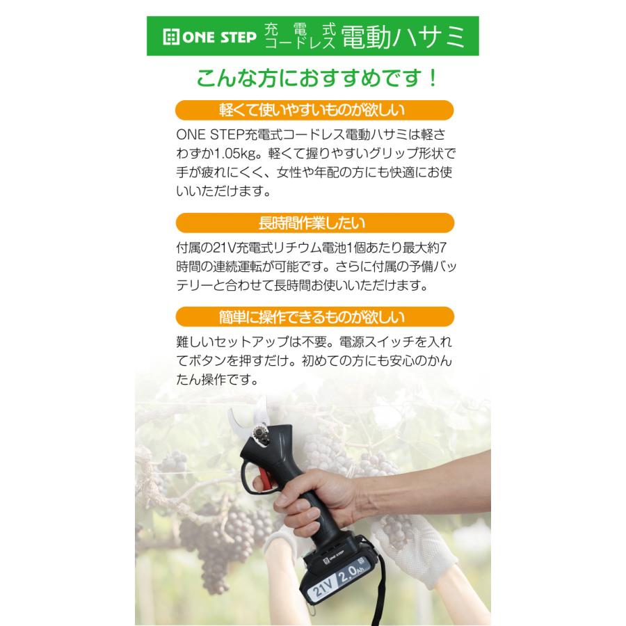 特売 剪定ばさみ 電動 ケース付き 園芸用 コードレス 充電式 剪定ハサミ 電動鋏 剪定鋏 1年保証 741 送料込 Www Muslimaidusa Org