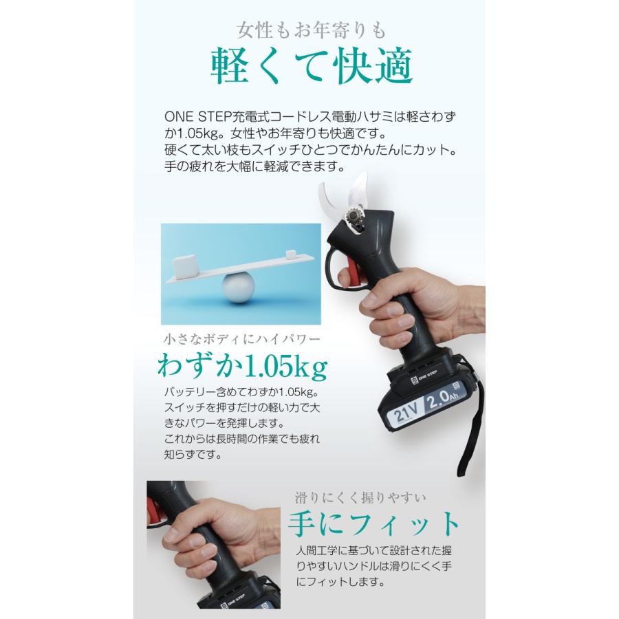 特売 剪定ばさみ 電動 ケース付き 園芸用 コードレス 充電式 剪定ハサミ 電動鋏 剪定鋏 1年保証 741 送料込 Www Muslimaidusa Org