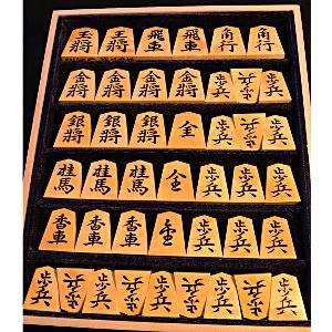 中澤蛍雪作 盛上駒 島黄楊根杢 昇龍斎書 : ショップ・ナユタ - 通販