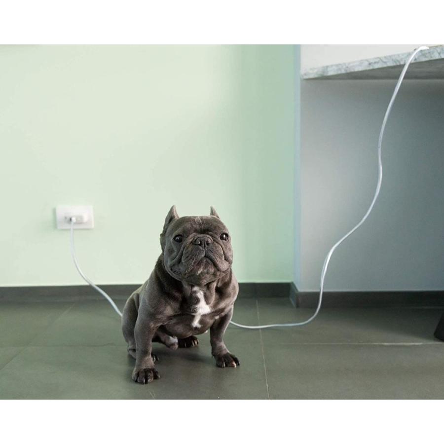 Petcords ミニ6フィート犬と猫の臍帯充電ケーブルを介して噛むからあなたのペットを保護は 保護されます A Fits 50 Off Iphone