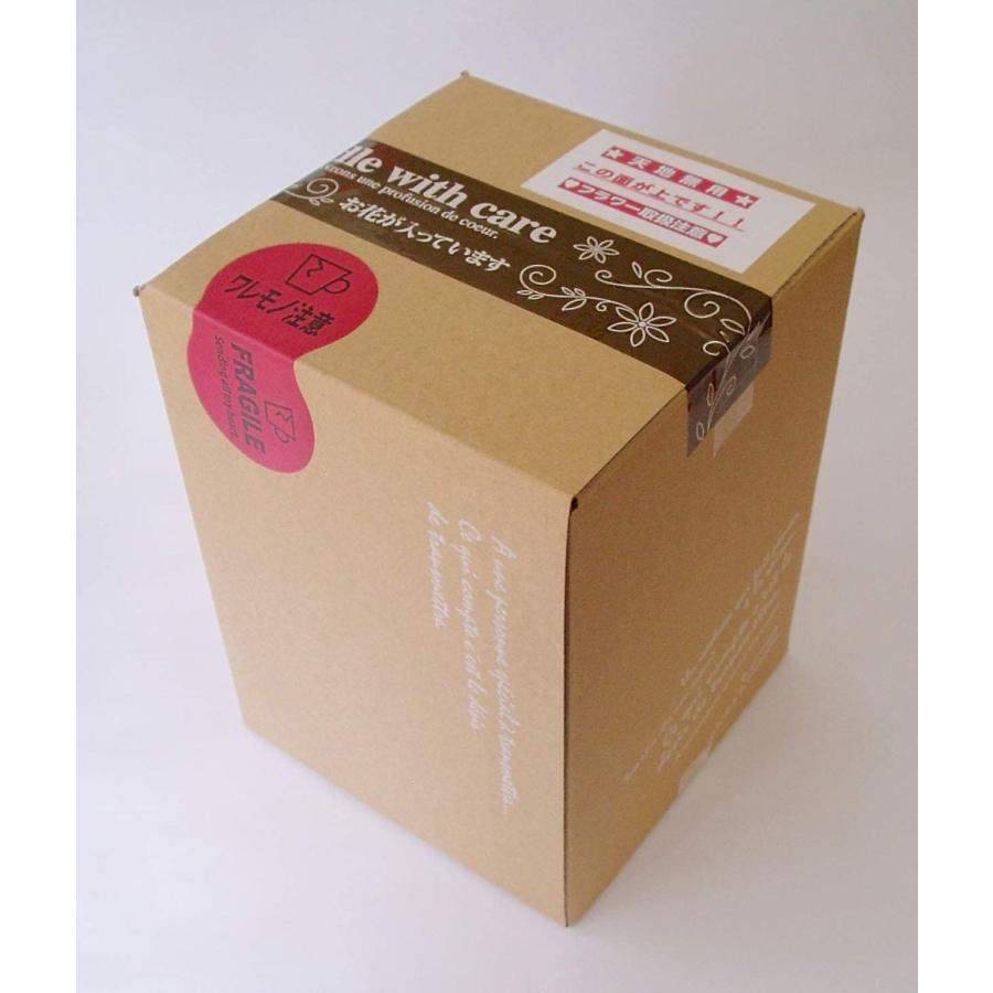 セール 登場から人気沸騰 8 18cmガラスドーム仏花プリザーブドフラワー お供え お悔やみ お彼岸 お盆 仏壇用 その他仏壇 仏具 Popshap Com