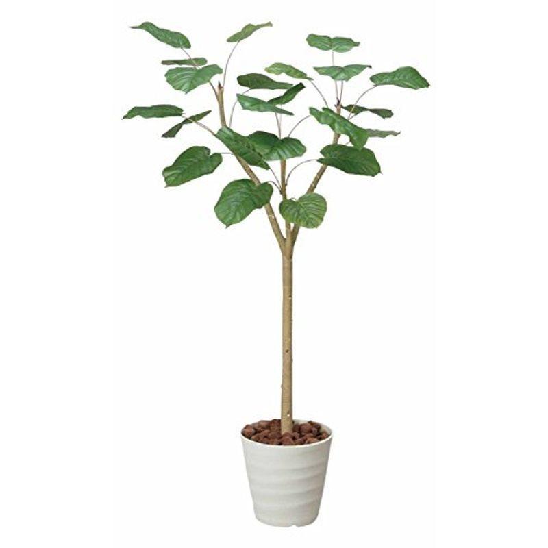 光触媒 ウンベラータ1 8ｍ人工観葉植物 ウンベラータ1 8ｍ人工観葉植物 ならショッピング ランキングや口コミも豊富なネット通販 更にお得なpaypay残高も スマホアプリも充実で毎日どこからでも気になる商品をその場でお求めいただけます 花