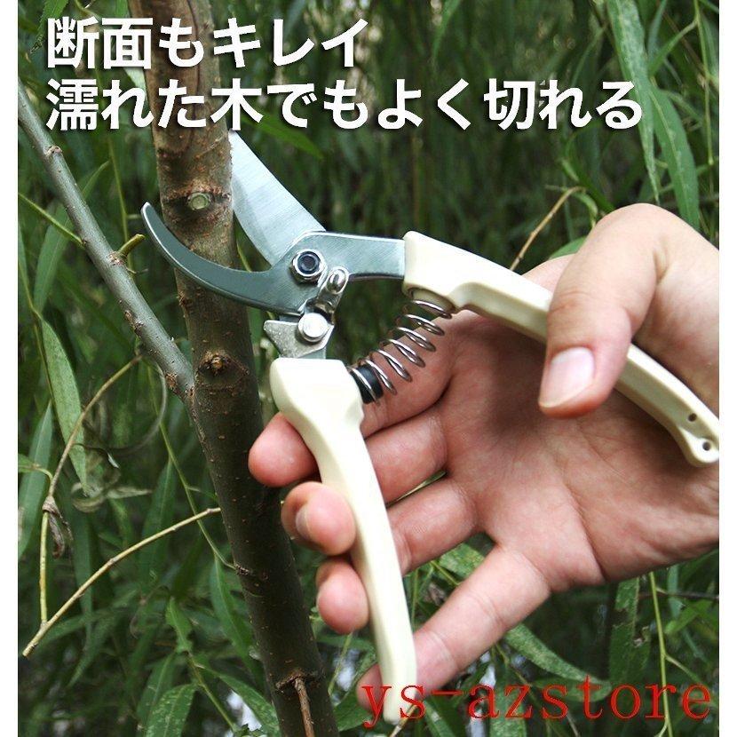 剪定ばさみ プロ 園芸はさみ バネ 園芸ハサミ 花用 剪定バサミ 花ばさみ さびない スチール SK5 園芸用はさみ 専用ケースつけ 小型 剪定 庭仕事 枝分け 小枝きり Xq58JbTWpd, DIY、工具 - centralcampo.com.br 剪定ばさみ プロ 園芸はさみ バネ 園芸ハサミ 花用 剪定バサミ 花ばさみ さびない スチール SK5 園芸用はさみ 専用ケースつけ 小型 剪定 庭仕事 枝分け 小枝きり Xq58JbTWpd, DIY、工具 - centralcampo.com.br