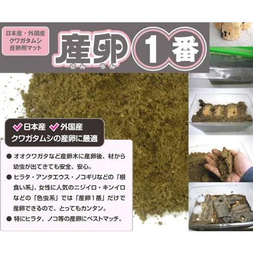 フォーテック 昆虫 [日本産・外国産クワガタムシ産卵用マット] 産卵１番【５リットル】｜shop-nw｜03