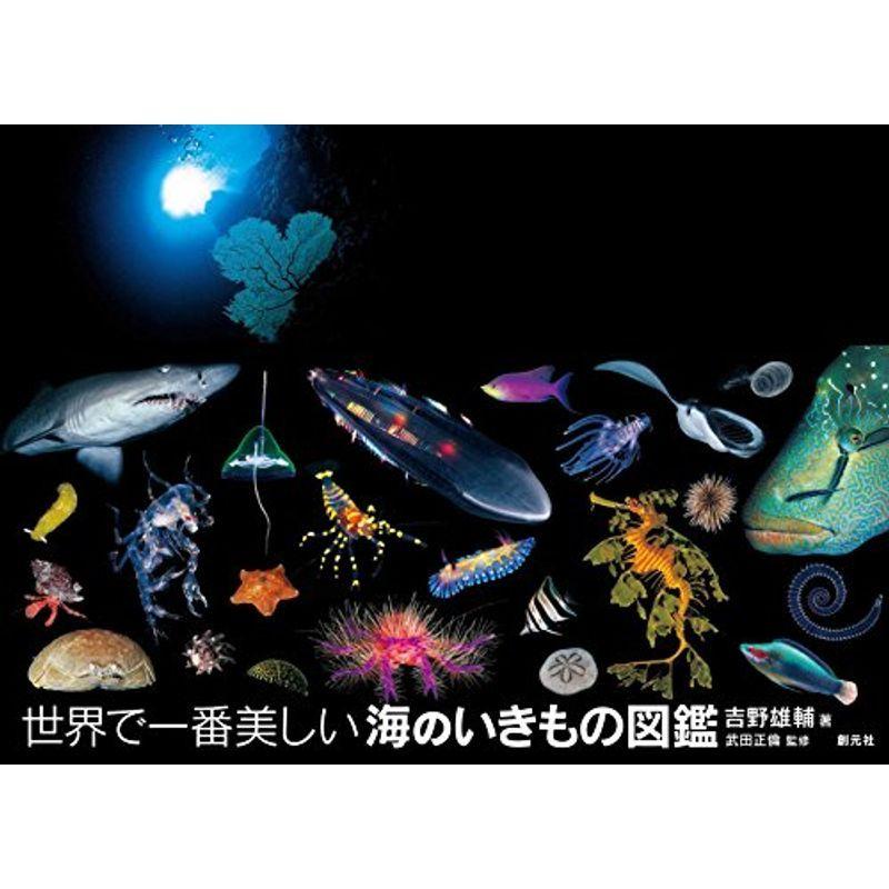 世界で一番美しい海のいきもの図鑑 40hbhkpxua 本 雑誌 コミック Locallatemodels Com