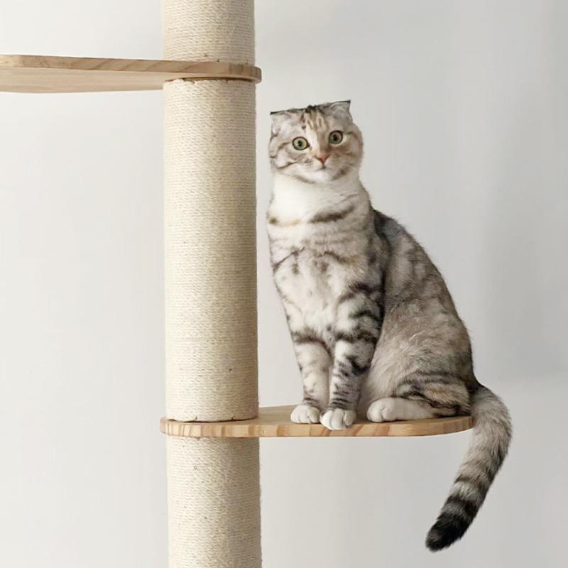 ねこぞく ブーレ 突っ張り棒タイプ キャットタワー Y-3 245cm 木製 猫