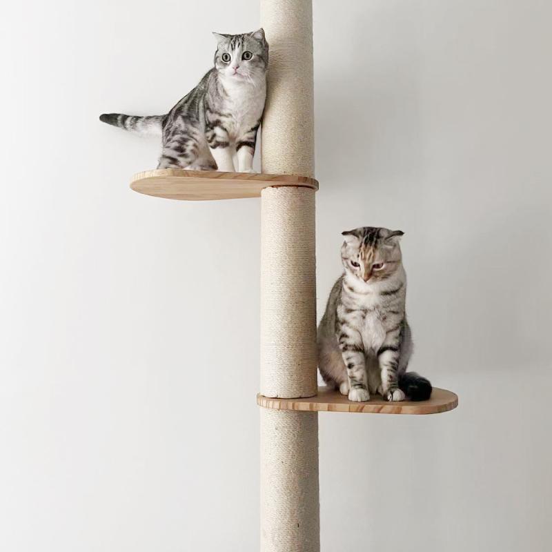 ねこぞく ブーレ 突っ張り棒タイプ キャットタワー Y-3 245cm 木製 猫