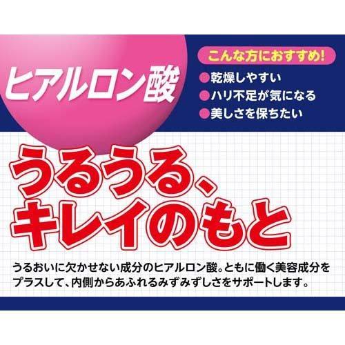 DHC ヒアルロン酸 60日分 120粒 2個セット サプリ まとめ売り 保水 美容 健康食品  スクワレン うるおい 乾燥 ハリ ディーエイチシー｜shop-relife｜04