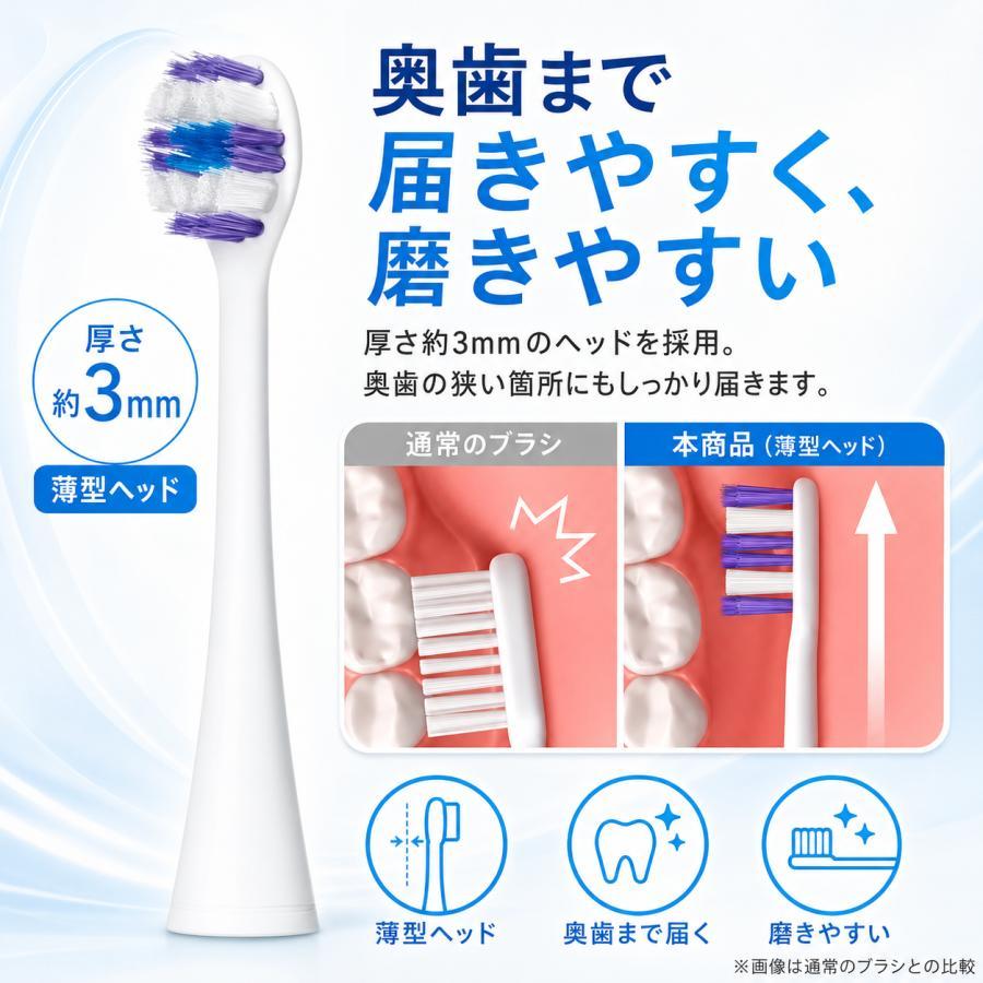 Doltz パナソニック ドルツ 替えブラシ EW0810-K 2本入 × 2セット (計4